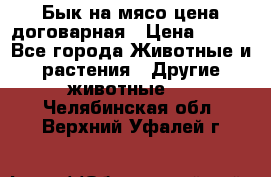 Бык на мясо цена договарная › Цена ­ 300 - Все города Животные и растения » Другие животные   . Челябинская обл.,Верхний Уфалей г.